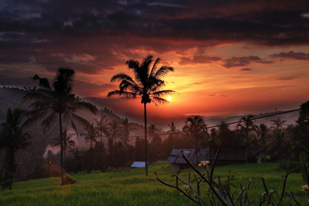 Gangga Homestay Munduk エクステリア 写真